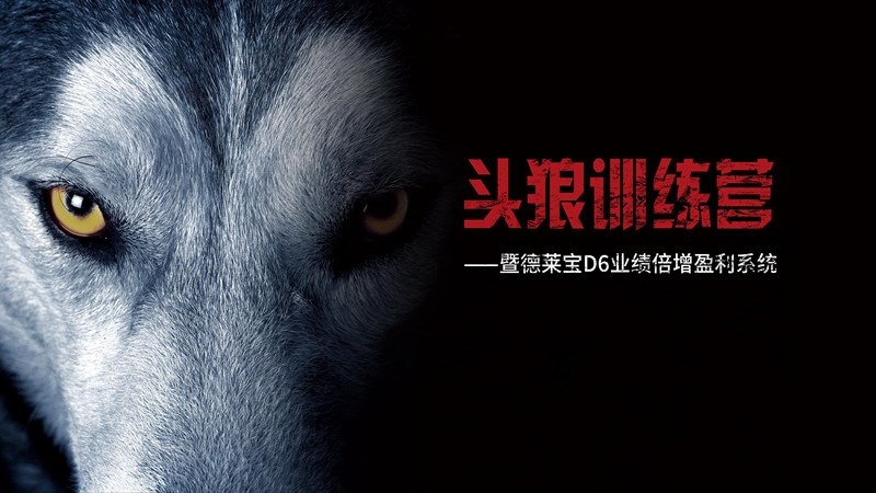 德萊寶第25期頭狼訓練營火熱開營！